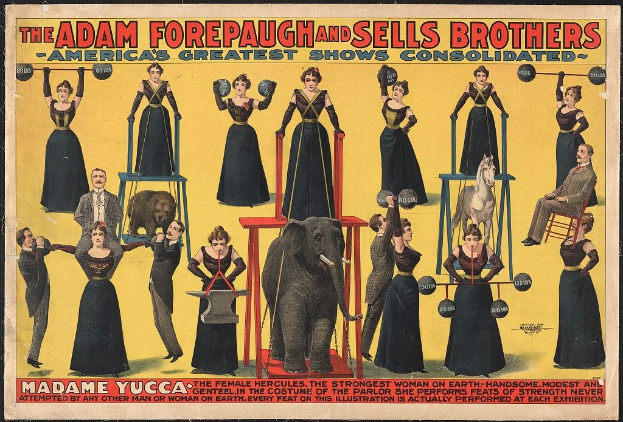 Plakat für die konsolidierte Zirkus-Show von Adam Forepaugh und Sells Brothers mit Performern auf Hockern und einem Elefanten in der Mitte sowie Werbetext.