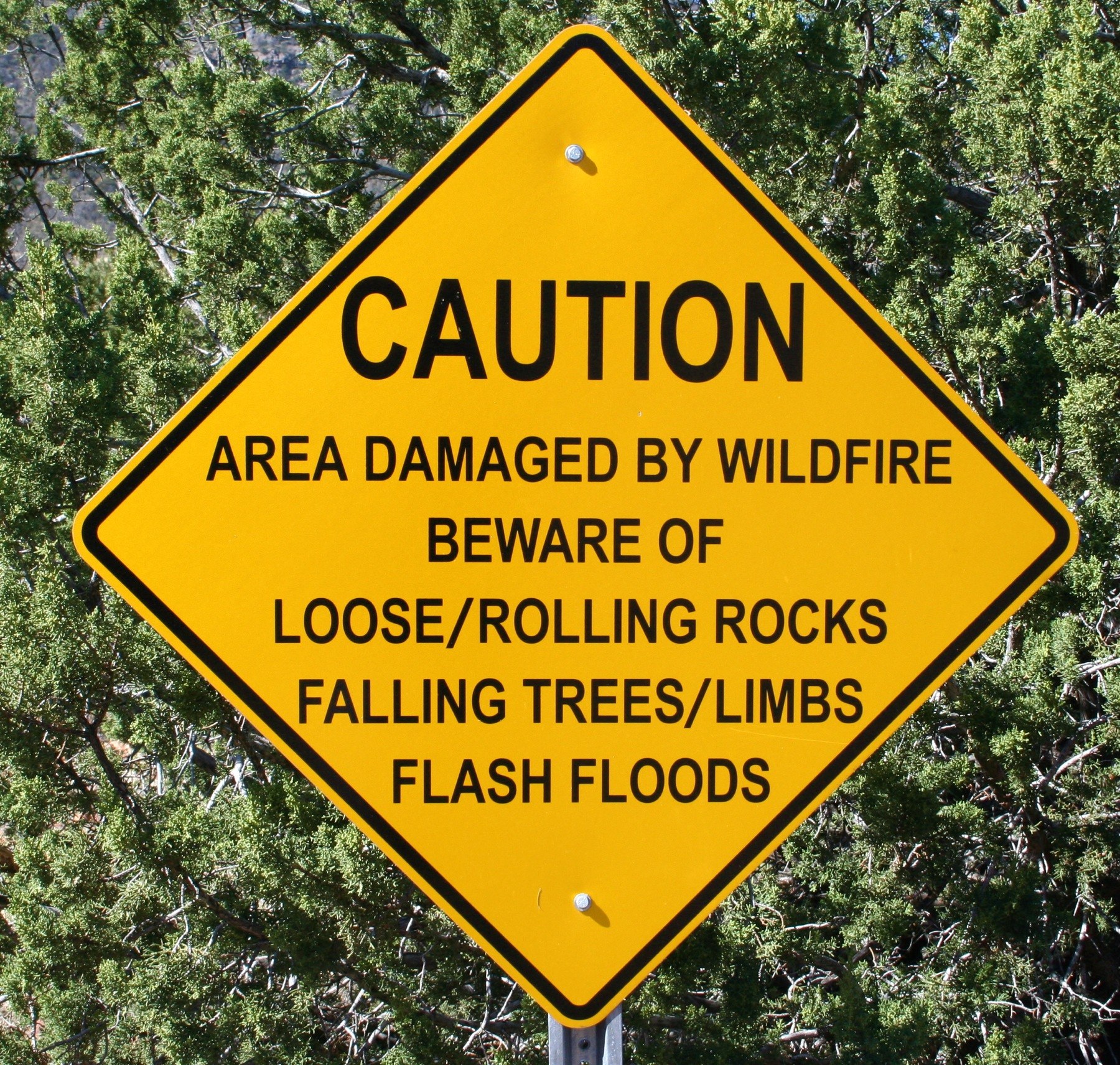 Gelbes Warnschild an einem Pfahl im Vordergrund mit Bäumen im Hintergrund, auf dem steht: "Vorsicht: Wildfire-Geschädigtes Gebiet - Achten Sie auf lockere rollende Steine, umstürzende Bäume, Äste, Flash Floods."