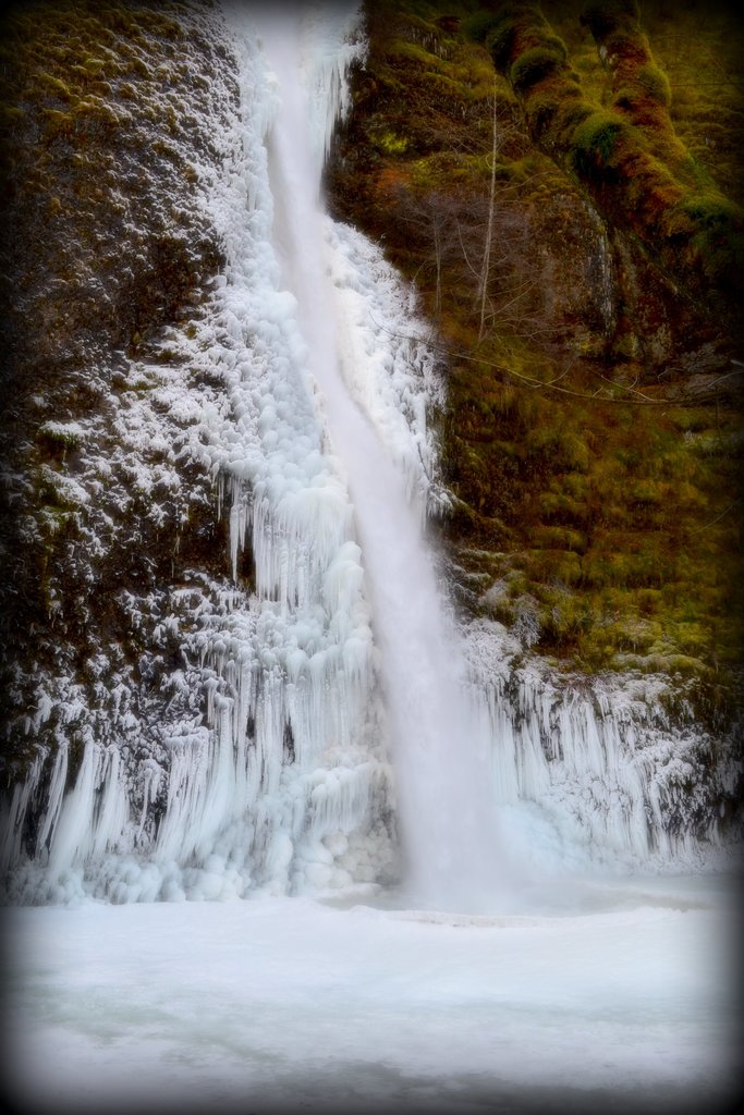 Schnee bedeckt den Boden mit einem kleinen Flecken Grün im rechten Eck.