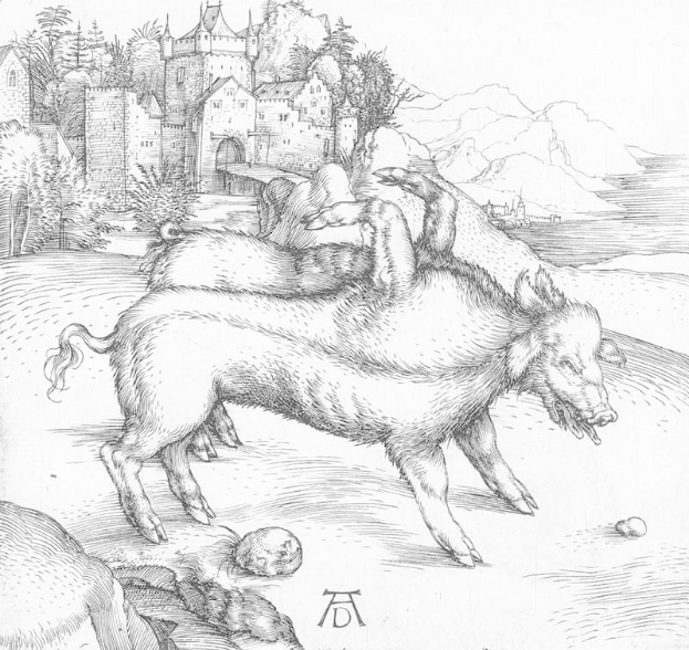 Eine Schwarz-Weiß-Zeichnung von zwei Schweinen auf einer Wiese mit einem Schloss im Hintergrund, umgeben von Bäumen, Hügeln und einem Gewässer, mit der Beschriftung "Albrecht Dürer - Die drei Eber" unten.