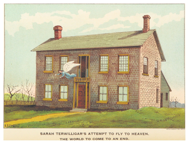 Plakat zeigt Sarah Terwilligers Versuch, in den Himmel zu fliegen, mit einem zentralen Haus umgeben von Bäumen und dem Text 'Die Welt wird untergehen' unten.