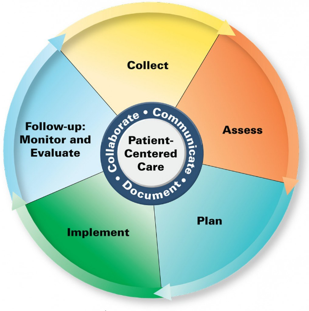 Kreisförmige Diagramm mit der Überschrift "patientenorientierte Pflege" und vier farbigen Abschnitten, jeweils mit einer spezifischen Pflegeart beschriftet.