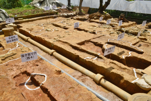 Ein großer Aushub mit Erde, Bäumen, Pflanzen, Gras, einem Zaun, einer Abdeckung, einer Wand, Tafeln mit Text und anderen verstreuten Gegenständen.