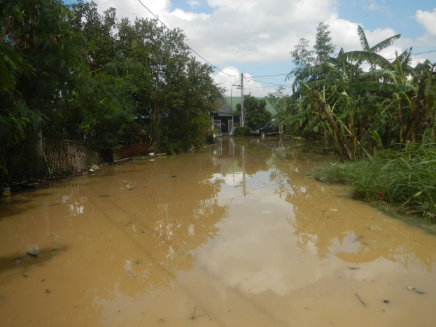 Eine überflutete ländliche Straße mit Wasser, das die Straße bedeckt, Pflanzen und Bäumen auf beiden Seiten und einem Auto auf der rechten Seite, mit Häusern, Strommasten und Drähten im Hintergrund unter einem bewölkten Himmel.