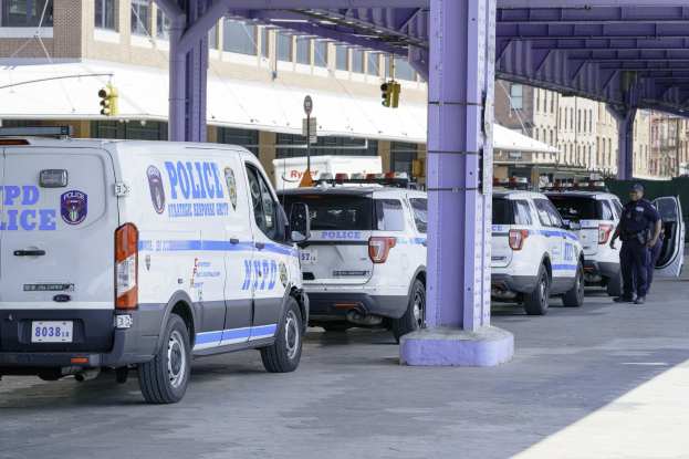 Eine Gruppe von Polizeiwagen auf einer Stadtstraße geparkt mit einer Person in der Nähe, Gebäude und eine Brücke im Hintergrund.