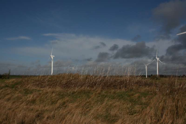 Ein Feld von Windkraftanlagen in einer grasbewachsenen Fläche mit Bäumen im Hintergrund und Wolken am Himmel, mit Text, der den Standort als Niederlande angibt.