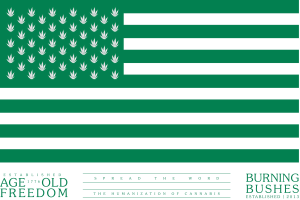 Amerikanische Flagge mit "Altes Freiheitsgefühl" und "Brennende Bushis" Text, verziert mit verstreuten Marihuana-Blättern.