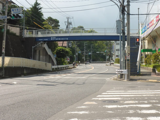 Stadtstraße mit einer Fußgängerbrücke darüber, Fahrzeuge auf der Straße, Strommasten mit Kabeln, Ampeln, Schilder, Gebäude mit Fenstern, Bäume und ein Himmel als Hintergrund.