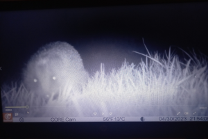 Ein Computerbildschirm mit einer Cloud-Abbildung und begleitendem Text und Zahlen.