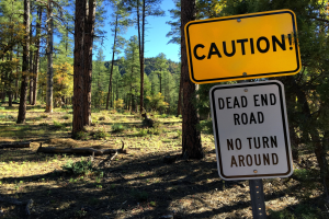 Warnschild in einem Wald mit der Aufschrift "Sackgasse - Kein Wenden" und Bäumen und einem klaren Himmel im Hintergrund.