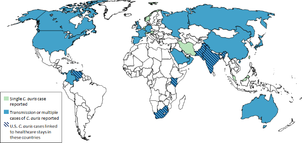 Eine Weltkarte, die die Anzahl der Coronavirus-Fälle in jedem Land anzeigt, mit blauen und grünen Bereichen, die die Fälle in jedem Land anzeigen, begleitet von erläuterndem Text auf der linken Seite.