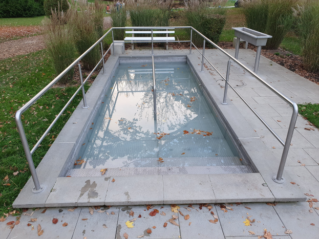 Ein kleiner Swimmingpool mit Metallgeländer, umgeben von grünem Gras und trockenen Blättern, mit Pflanzen, Bäumen und einem Gebäude im Hintergrund.