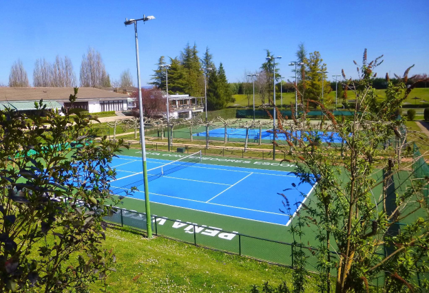 Ein Tennisplatz mit einem Netz in der Mitte, umgeben von grünem Gras, B├Ąumen und Laternenmasten, mit Geb├Ąuden und einem klaren blauen Himmel im Hintergrund.