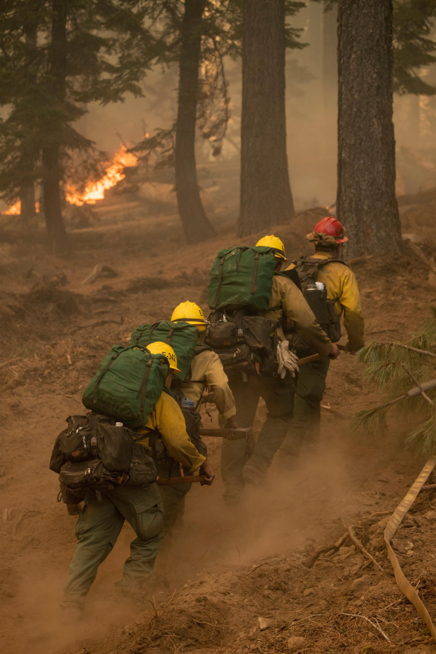 Eine Gruppe von Feuerwehrmönnen in Helmen und Rürcksücken durchquert einen Wald mit einem Feuer in der Ferne.